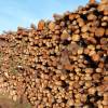 Venta de su madera por licitacin
