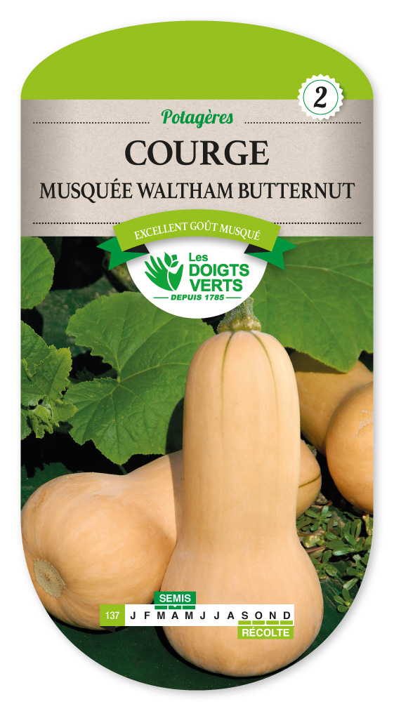 Everwilde Farms - Semillas De Calabaza De Invierno Waltham Butternut De 1 Libra - Gold Vault