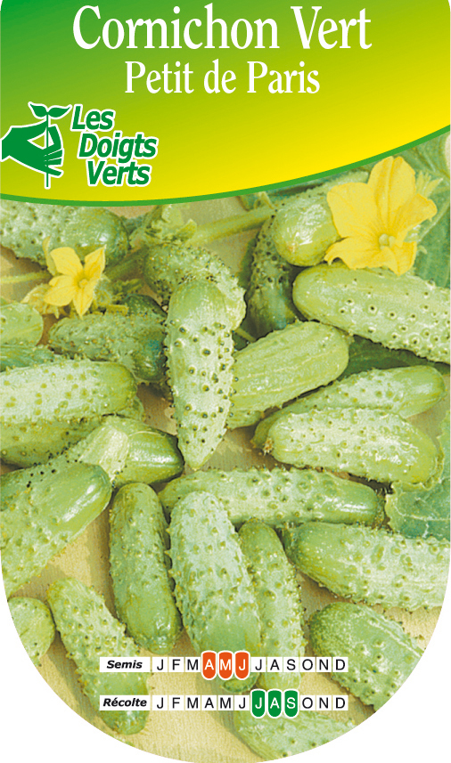 Pepinillo verde Petit de Paris venta Pepinillo verde Petit de Paris