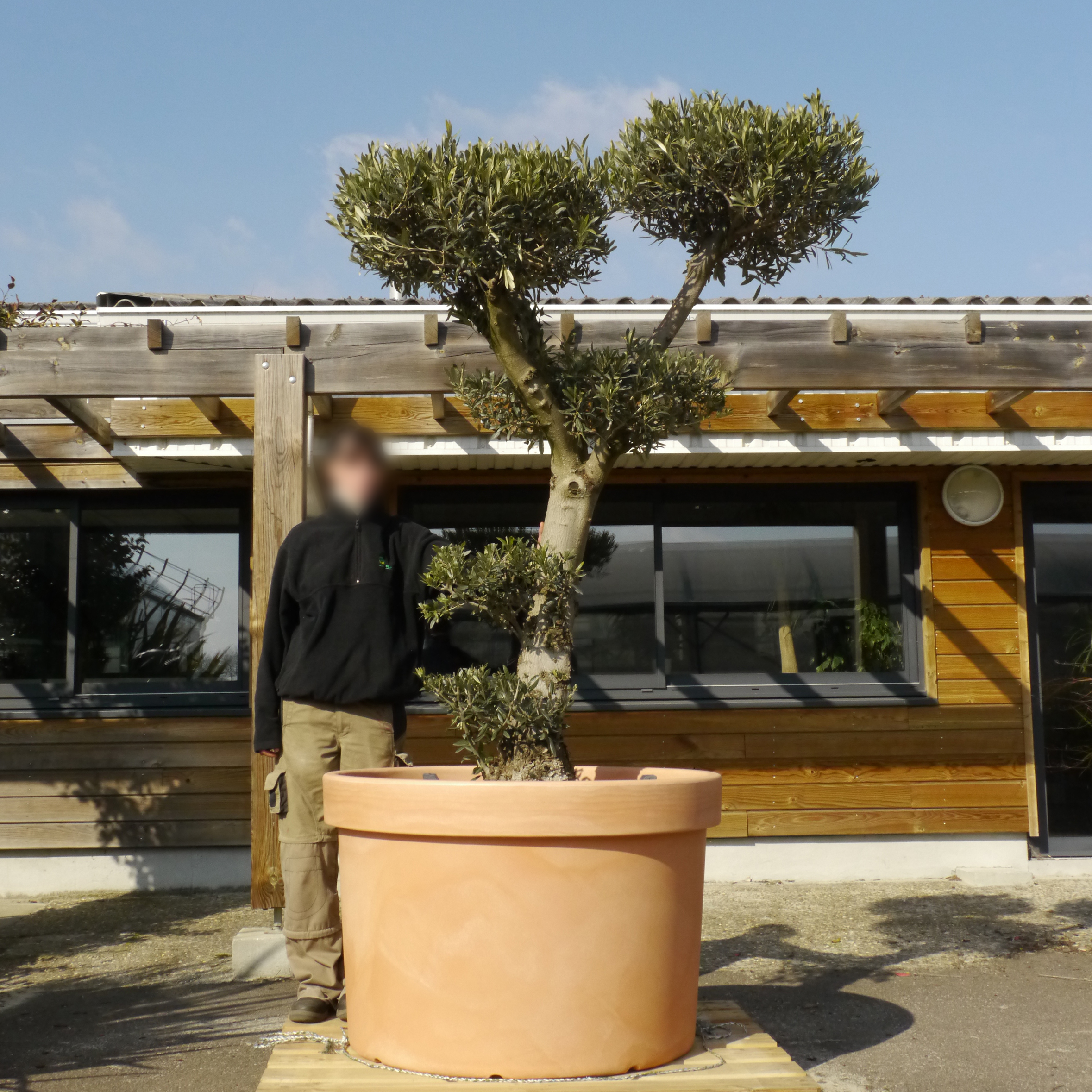 Maceta Gigante para Árbol - D.105 x Alt.70 cm